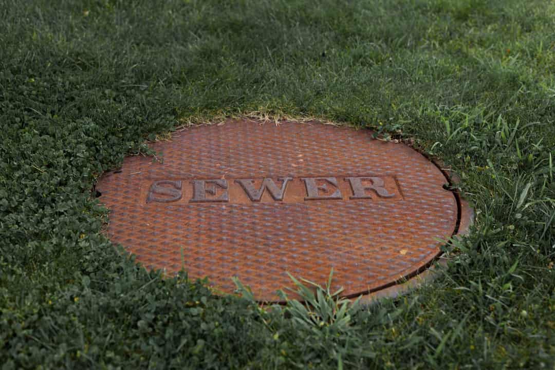 Sewer manhole cover set in a lawn