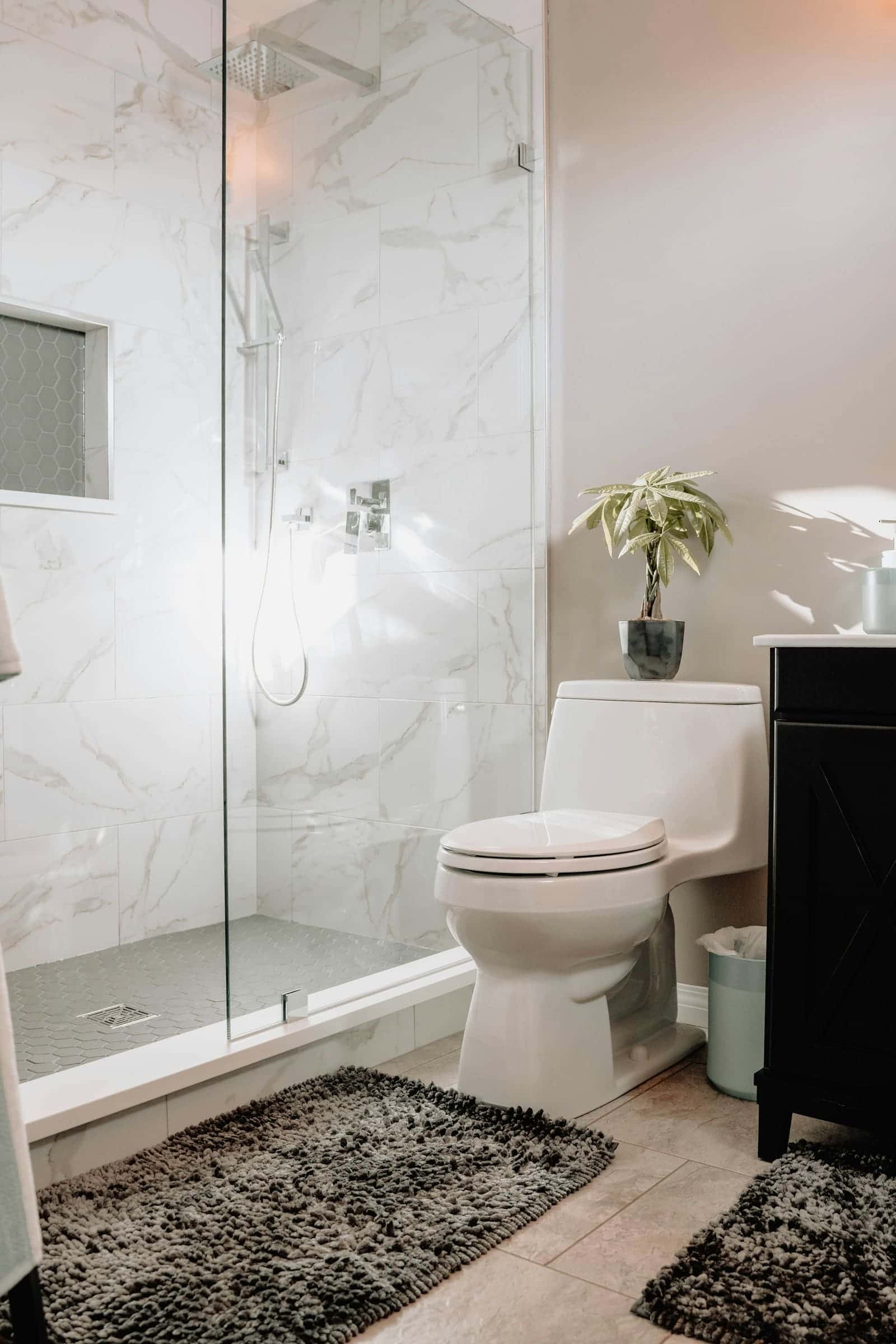 Bathroom with a toilet beside a glass-walled shower