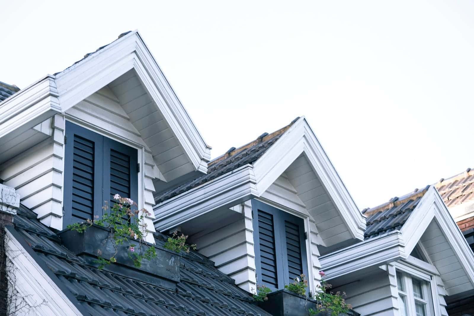 Row of white houses with black shutters