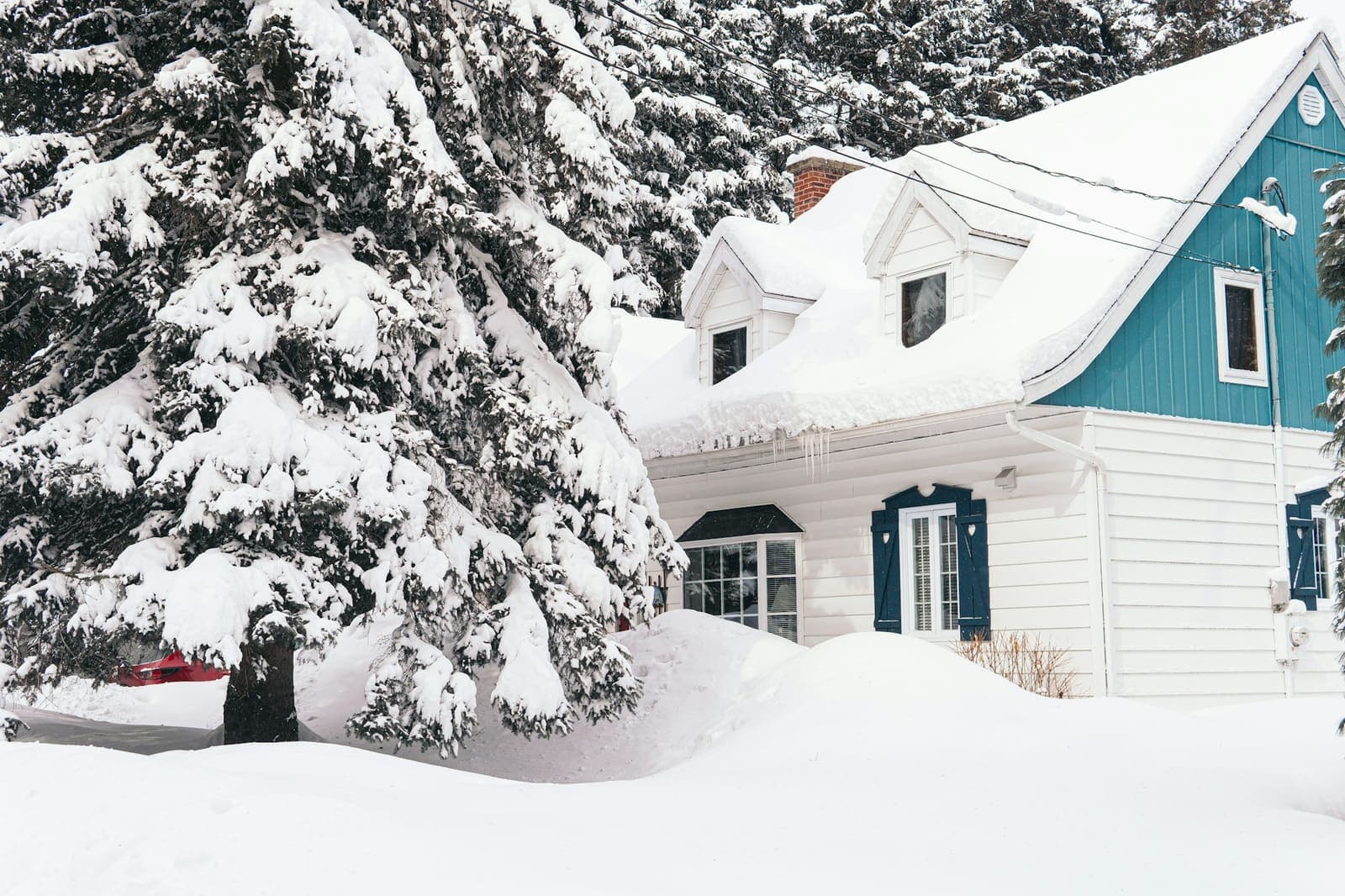 House surrounded by deep snow and trees