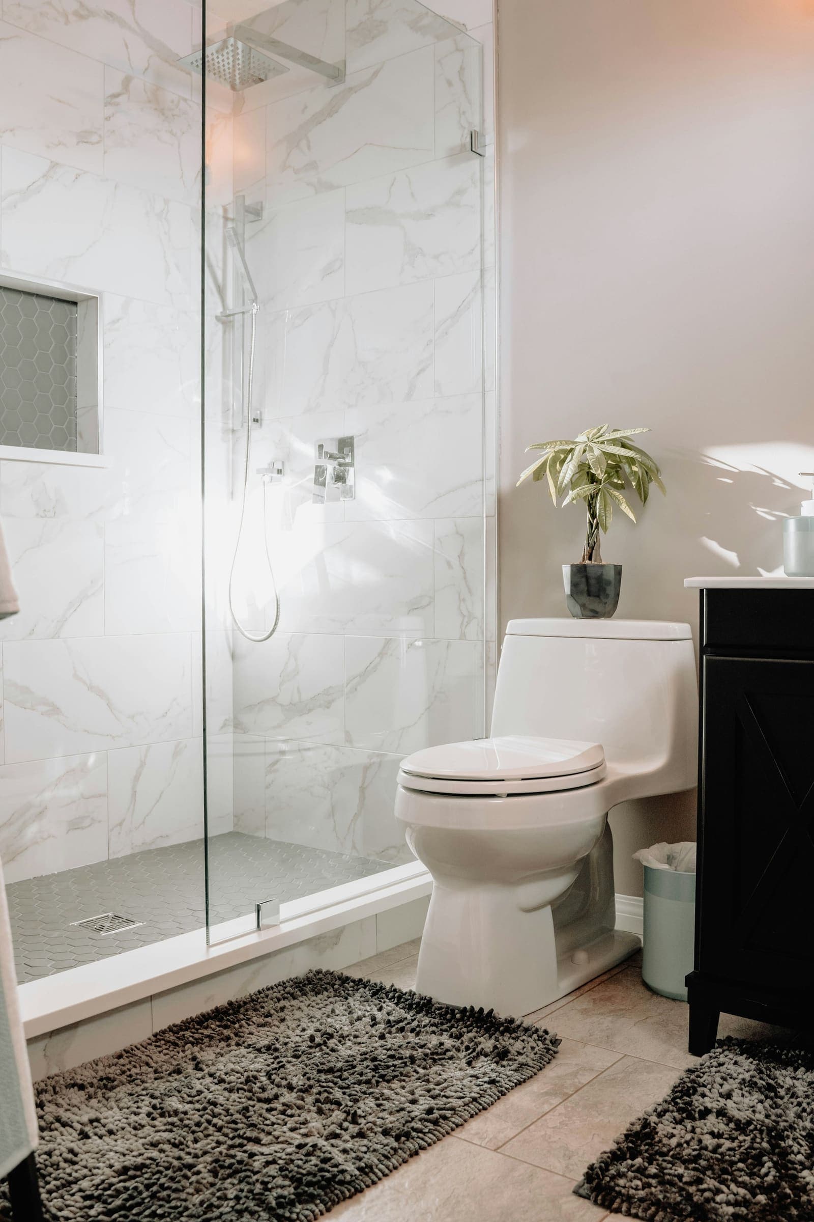 Bathroom with a toilet beside a glass-walled shower