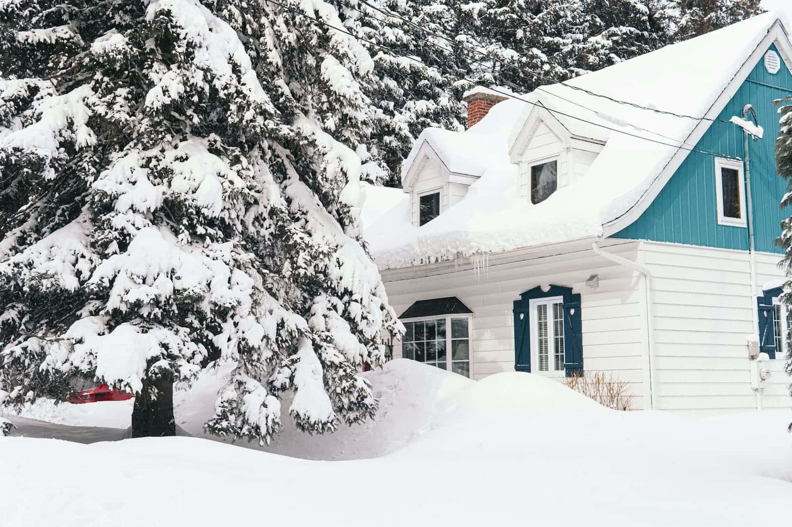 House surrounded by deep snow and trees