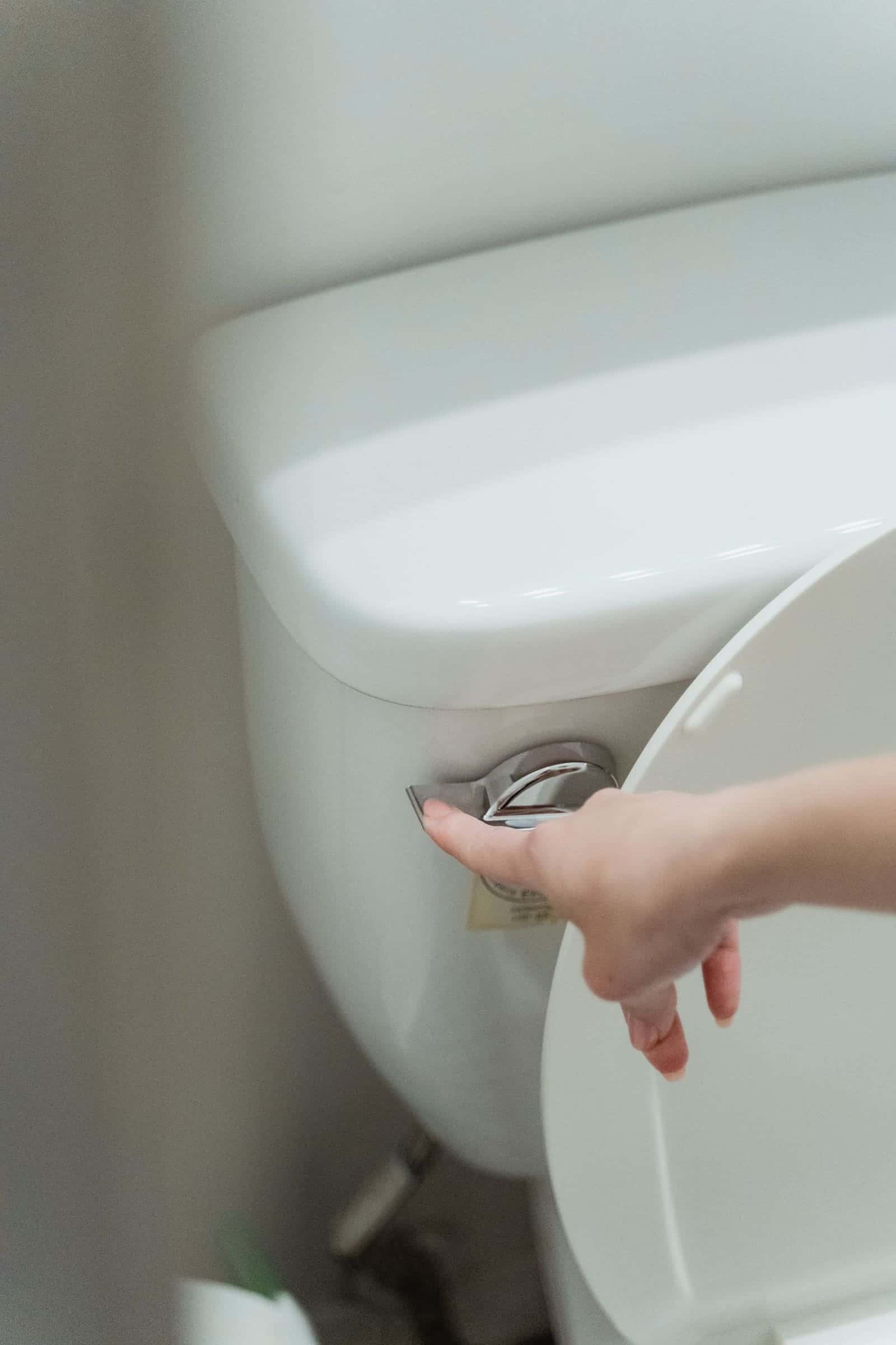 Hand flushing a toilet